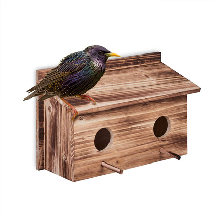 Nest for starlings