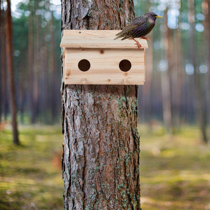 Nest for starlings
