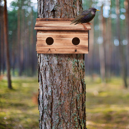 Nest for starlings