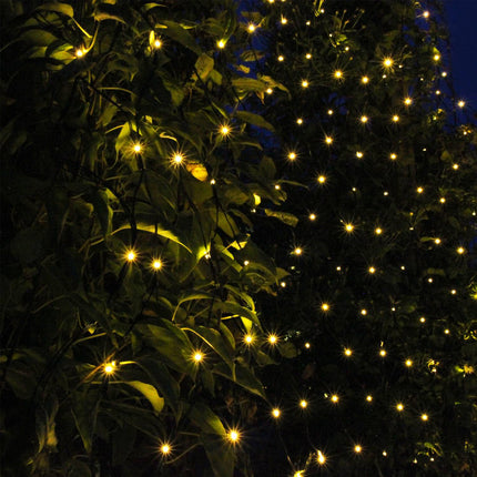 Filet lumineux 2x1,5m avec 168 points lumineux
