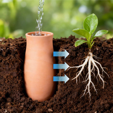 Ollas Irrigation Set, 1.4L Clay Pots, 2-Pack