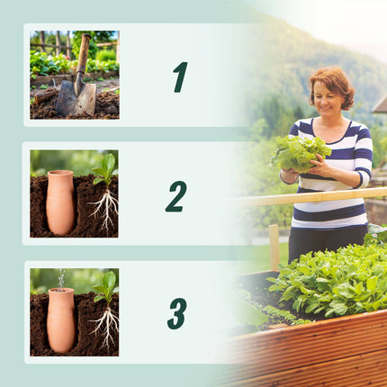 Ollas Irrigation Set, 1.4L Clay Pots, 2-Pack
