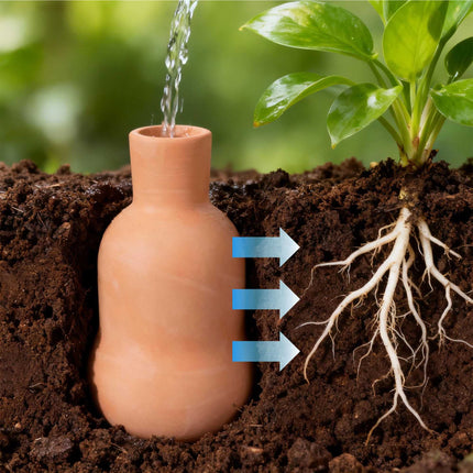 Ollas Bewässerungsset, 500 ml Ton-Wasserspeicher, 3er-Pack