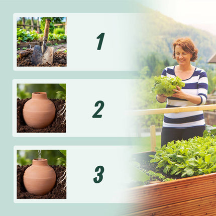 Ollas Watering Set, 800ml, 3-Pack, Clay Vessels