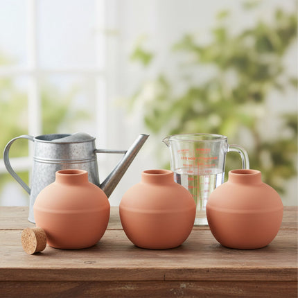 Ollas Watering Set, 800ml, 3-Pack, Clay Vessels