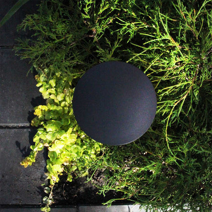 Orbit Poller 35 cm