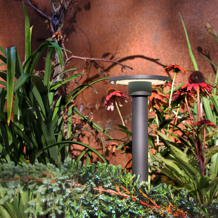 Orbit Poller 35 cm