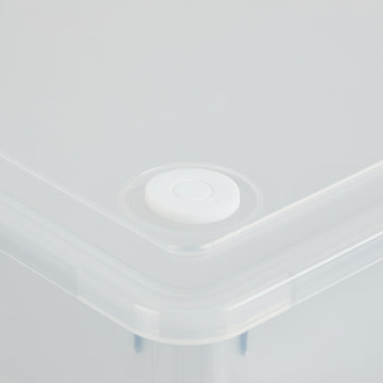 Organizer-Box mit 3 herausnehmbaren Fächern