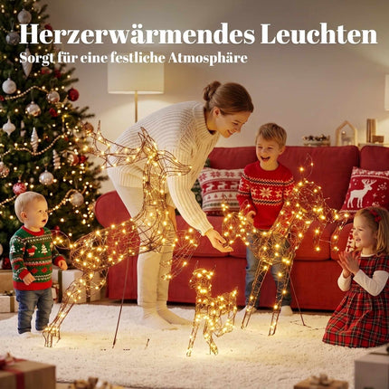Outdoor Christmas Reindeer Set with 200 LED Lights, Timer