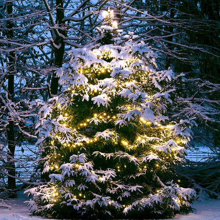 LED Lichterkette Außen, 10m 100 LEDs, Warmweiß 12V