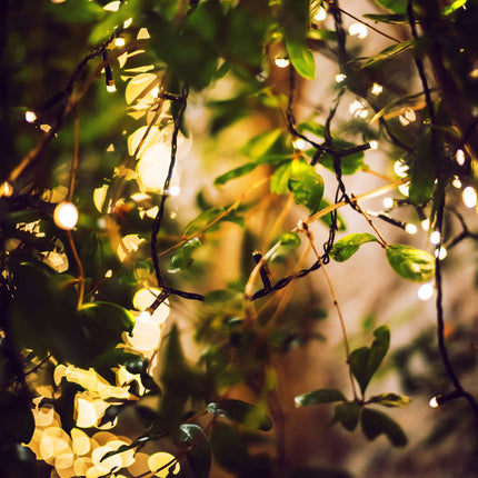 LED Lichterkette Außen 20m, 200 LEDs, Warmweiß
