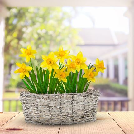 Pot de fleurs ovale - lot de 3