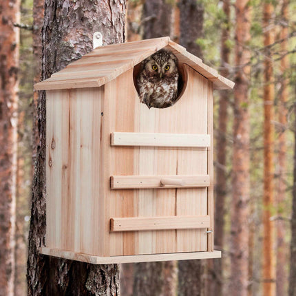 Owls Nest Box Wood