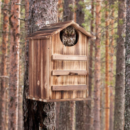Owls Nest Box Wood