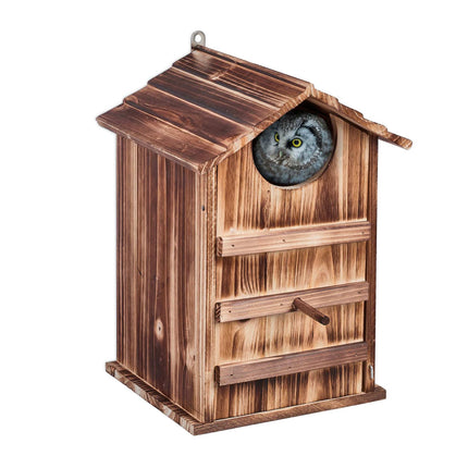 Owls Nest Box Wood