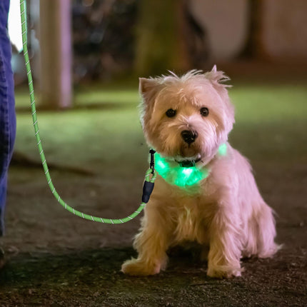 Padded dog leash green 150 cm