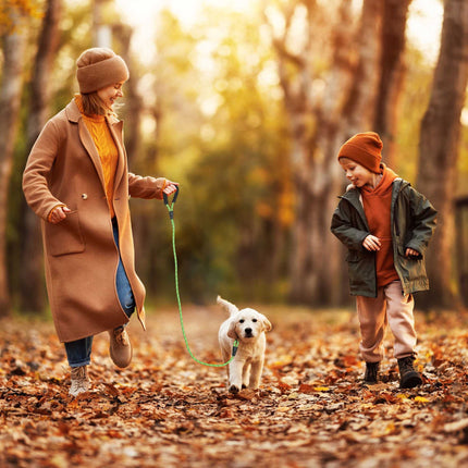 Padded dog leash green 150 cm