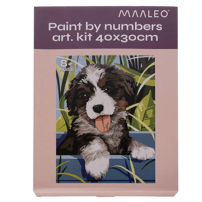 Painting by numbers 40x30cm - Maaleo dog 22780