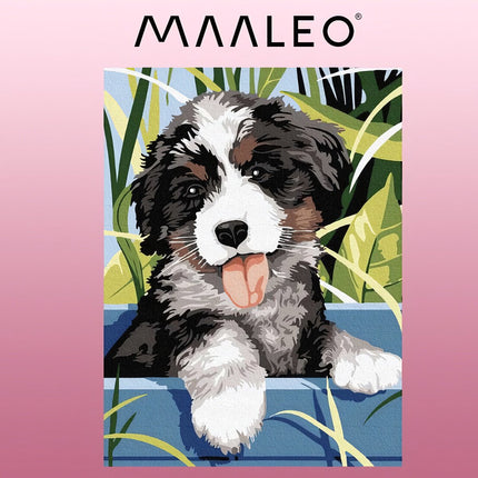 Malování podle čísel 40x30cm - Maaleo pes 22780