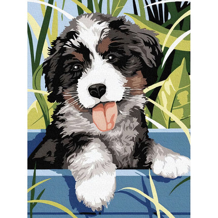 Malování podle čísel 40x30cm - Maaleo pes 22780