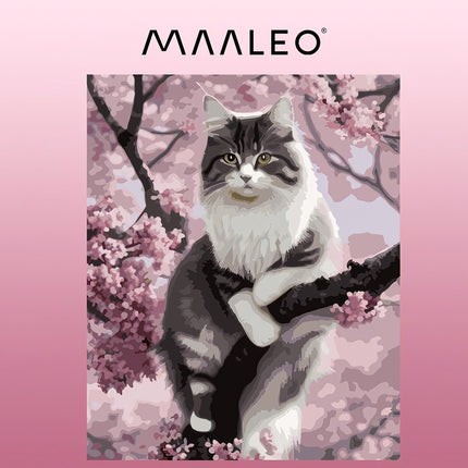 Malování podle čísel 40x50cm - Maaleo kotě 22783