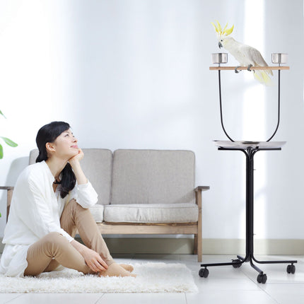 Parrot Perch