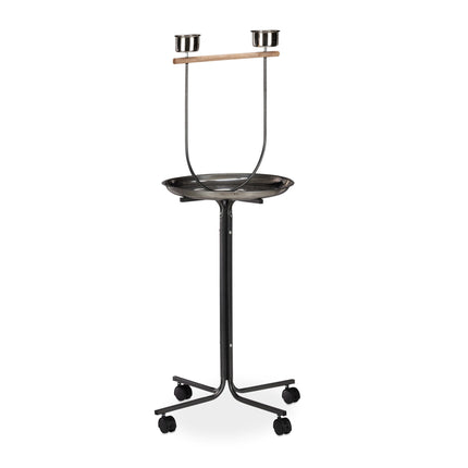 Papageienstange mit Ständer