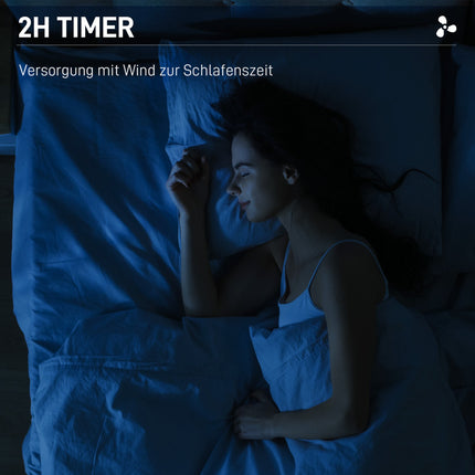 Standventilator mit Sprühfunktion, 3 Stufen, 3L Tank, Timer, schwarz