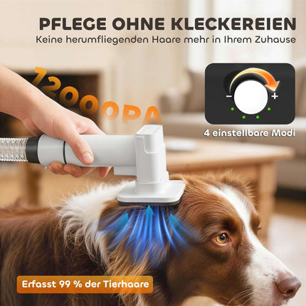 Haustierpflege-Föhn und -Trimmer, leiser Motor, 5-in-1-Gerät