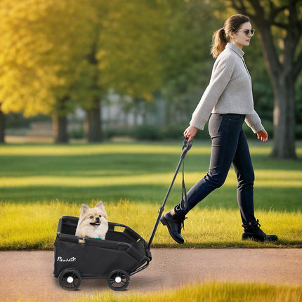 Tierkinderwagen mit verstellbarem Griff, faltbares Design