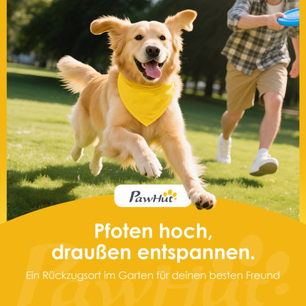 Pet Stroller with Mesh Windows, Foldable, for Small Pets