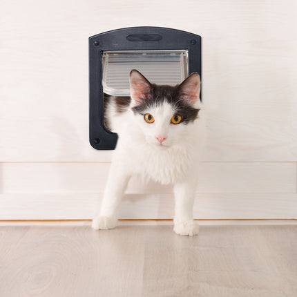 Trappe pour animaux de compagnie 4 voies