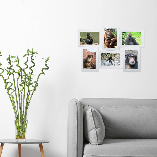 Bilderrahmen für mehrere Fotos