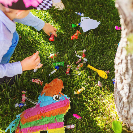Pinata Donkey