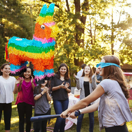 Pinata Llama