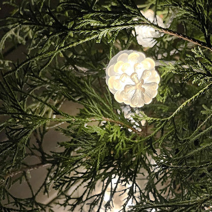 Kiefer 10m Lichterkette weiß schillernde Zapfen