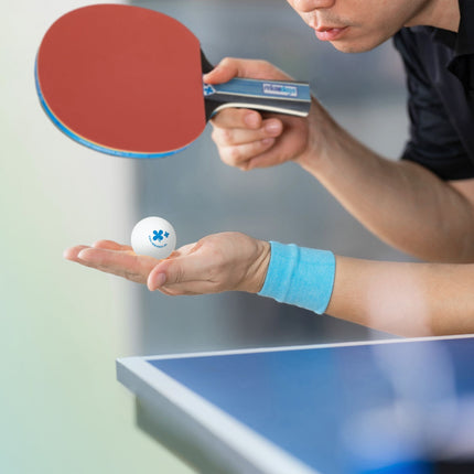 Pingpong-Schlägerset mit Netz