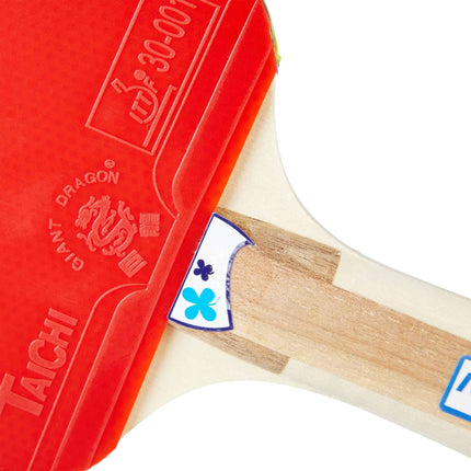 Ensemble de raquettes de ping-pong avec filet