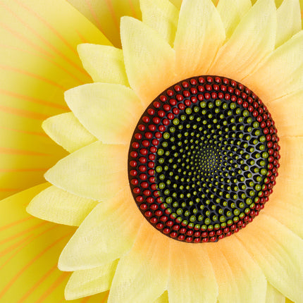 Pinwheel flower garden