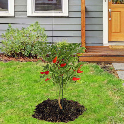 Plant Supports with Ring, Set of 6 Metal Stakes