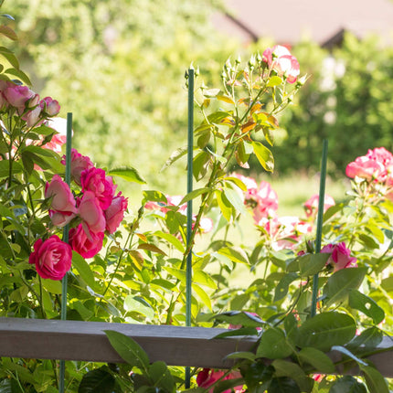 Planting sticks 90 cm in a set of 10