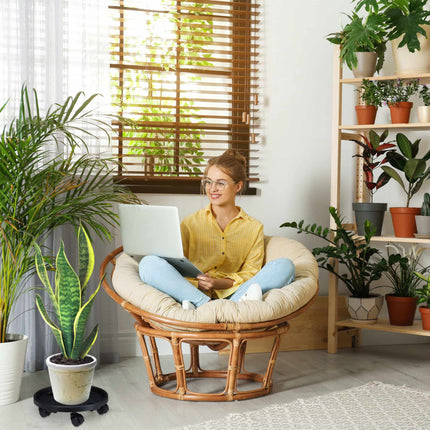 Plant roller Plastic Large Set of 2