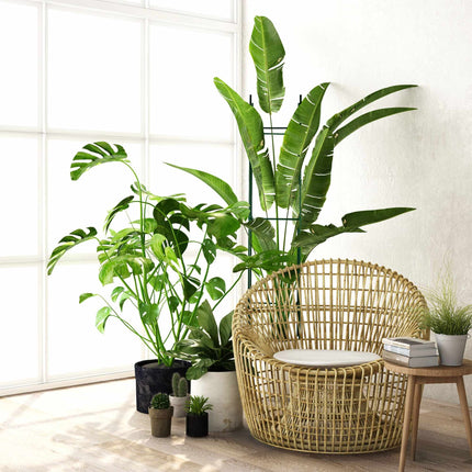 Ensemble de tuteurs pour plantes de 4 150 cm