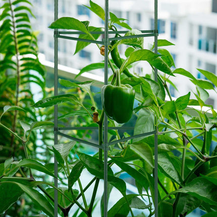 Opora pro rostliny, sada 4 ks, 90 cm