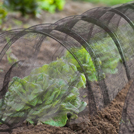 Plant tunnel 3 m in sets of 2