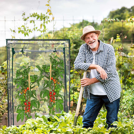Tomatengewächshaus aus Kunststoff