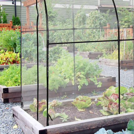 Tomatengewächshaus aus Kunststoff