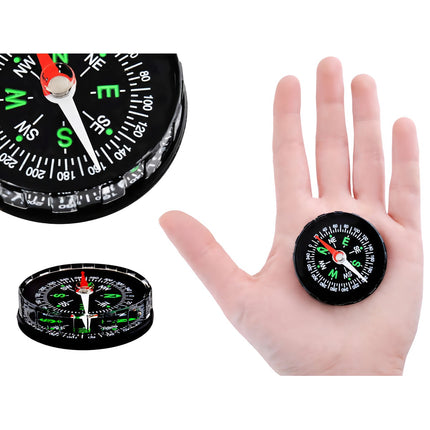 Pocket compass