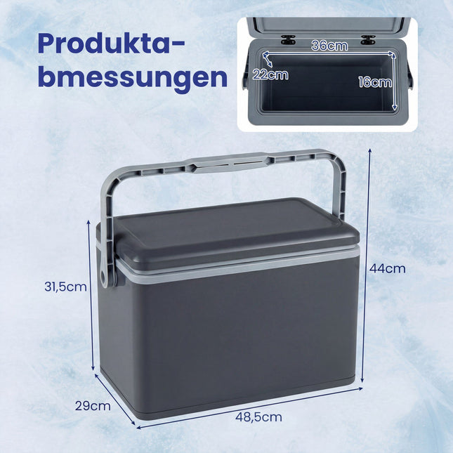 Tragbare 12L-Kühlbox mit Hartschale und Griff, Dunkelgrau