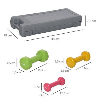 Buntes Hantelset aus Stahl mit Koffer – 6 Gewichte für Fitness